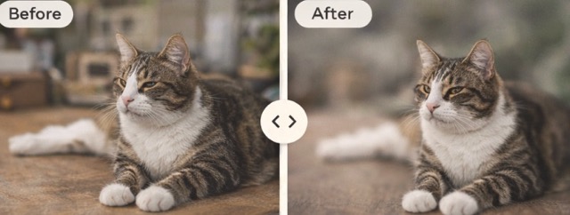 Keep the Main Subject Sharp and Clear Naturally