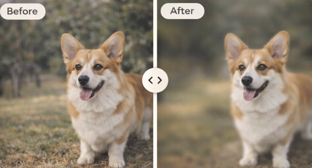 No Editing Skills Required for Clean Professional Results